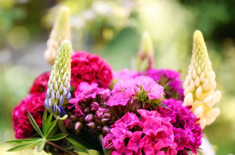 fleuriste-ST ANTONIN-min_flowers-5369794